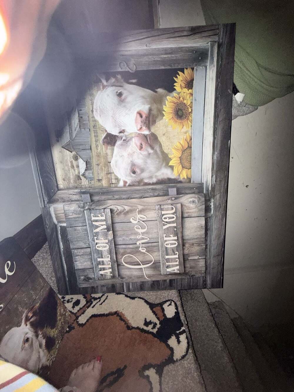 Farmhouse Style Cow and Sunflower Canvas Wall Art 'All of Me Loves All of You'